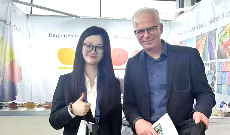 Deqing Demi Pigment Technology Co.、Ltd。